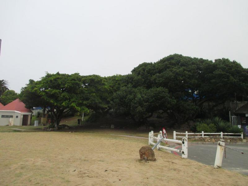 2 Bedroom Property for Sale in Mossel Bay Western Cape